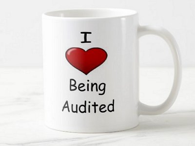 The Audit Culture The Audit Culture